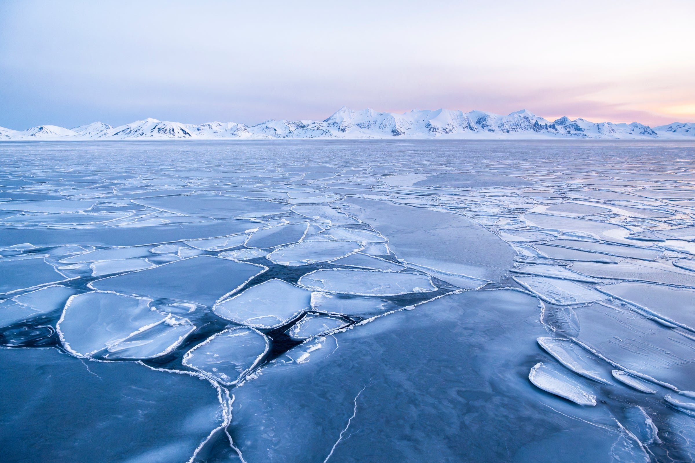 Pancake ice forming on a calm fjord, mountains in pink morning light