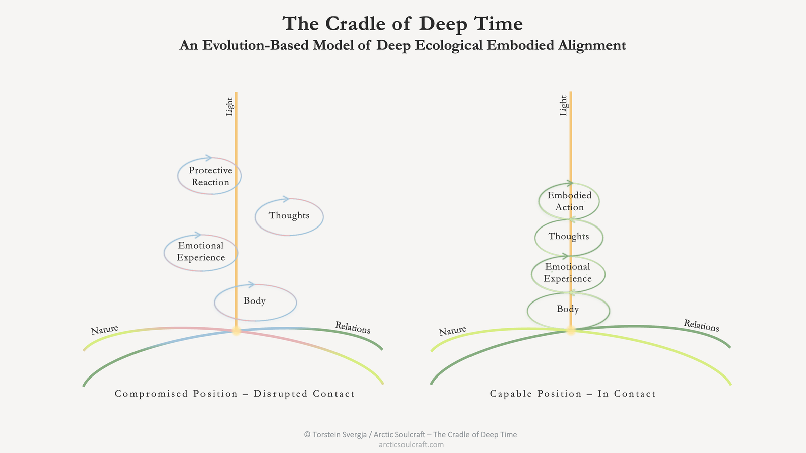 The Cradle of Deep Time, a compromised position with disrupted contact and a capable position in contact, anchored in nature, relations and light