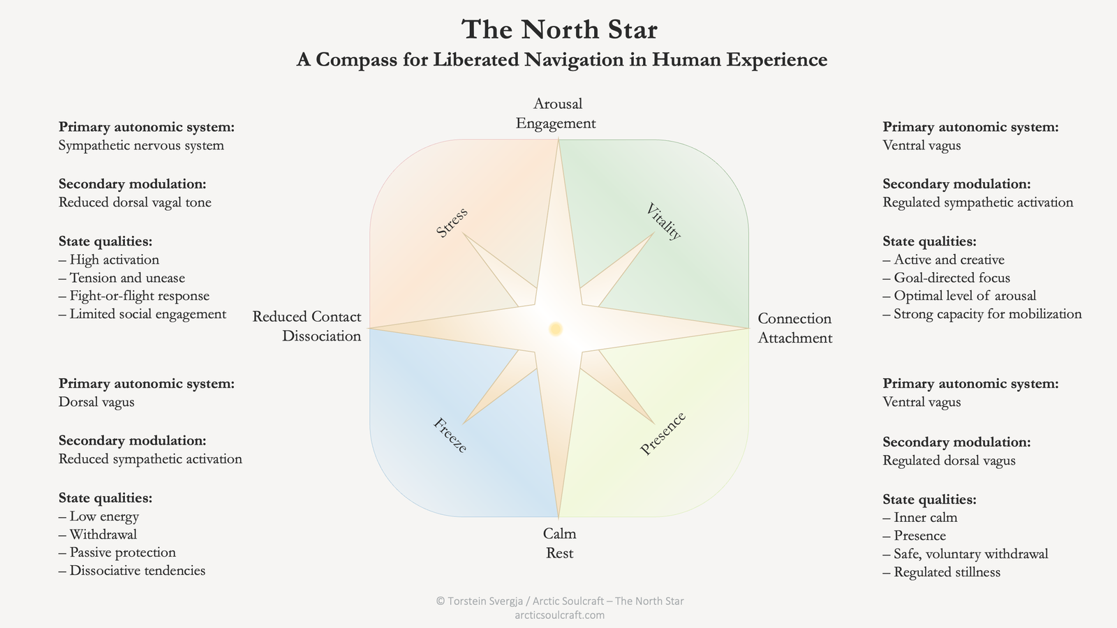 The North Star, four state fields around a star: stress, vitality, freeze and presence