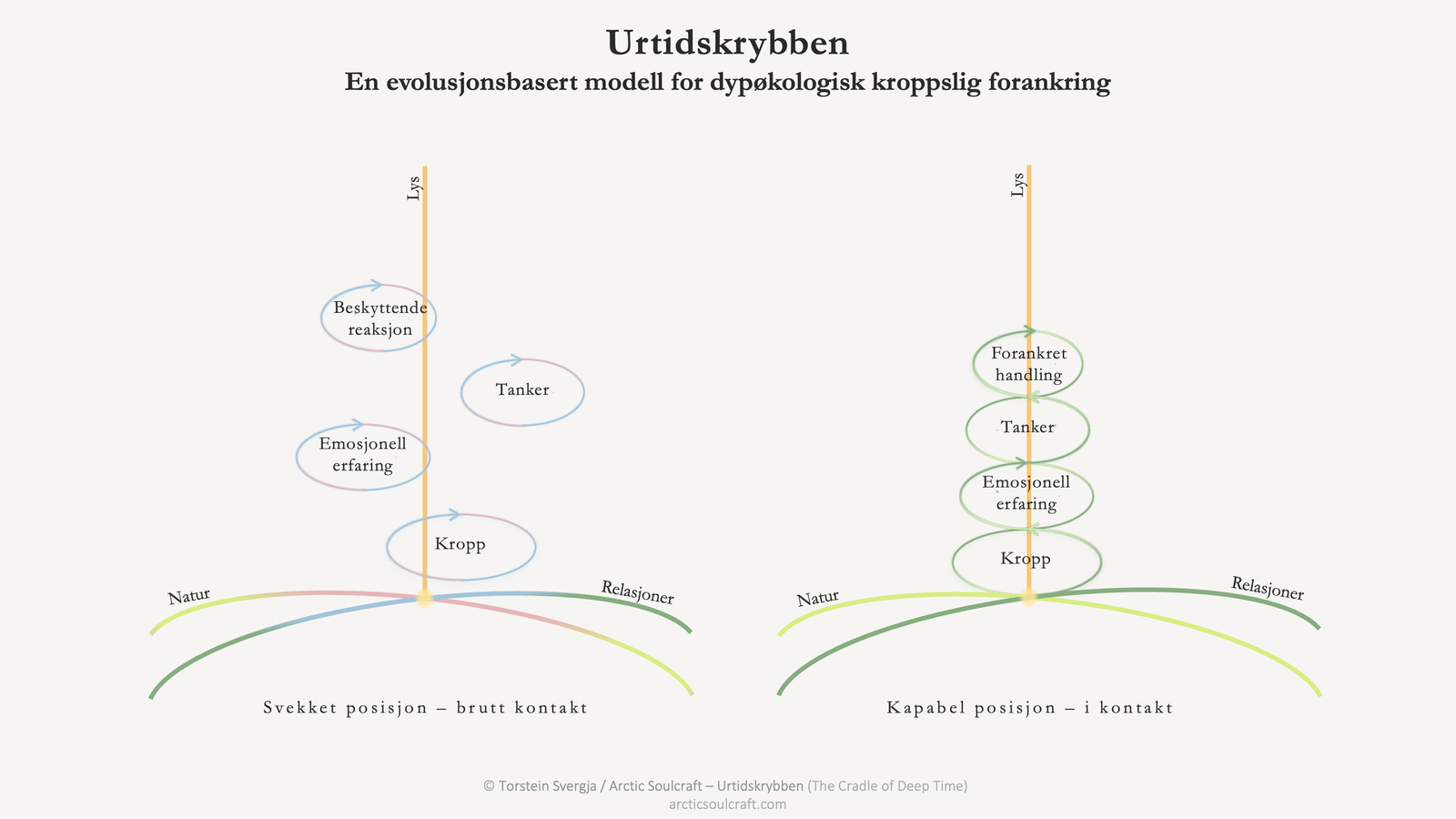 Urtidskrybben, svekket posisjon med brutt kontakt og kapabel posisjon i kontakt, forankret i natur, relasjoner og lys